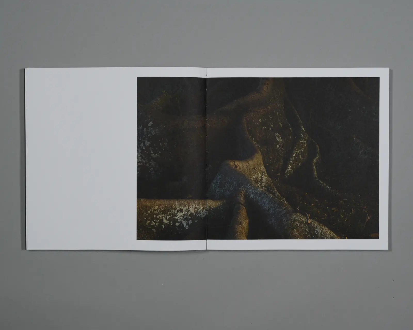 We Were Just Little Boys image 3