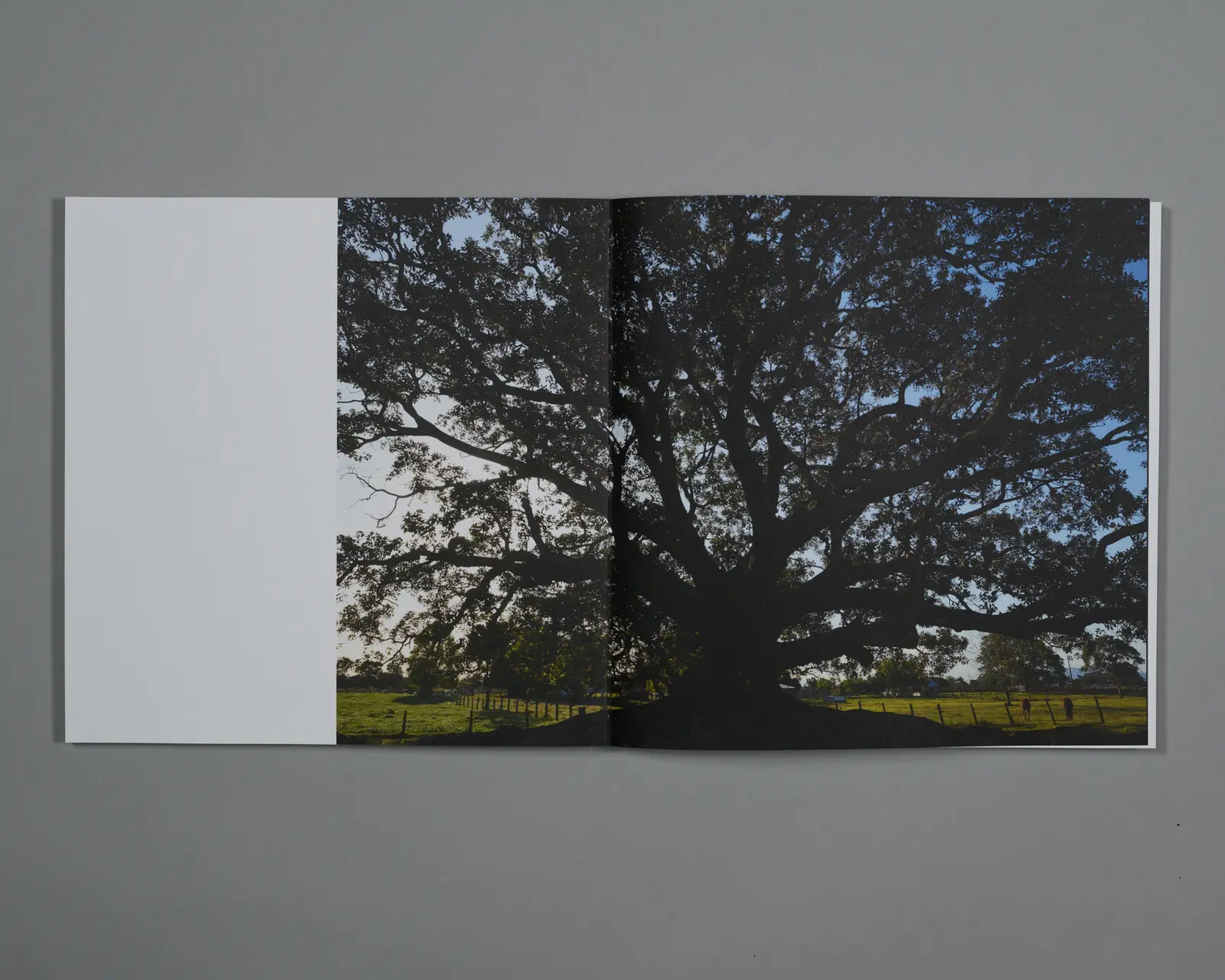 We Were Just Little Boys image 8