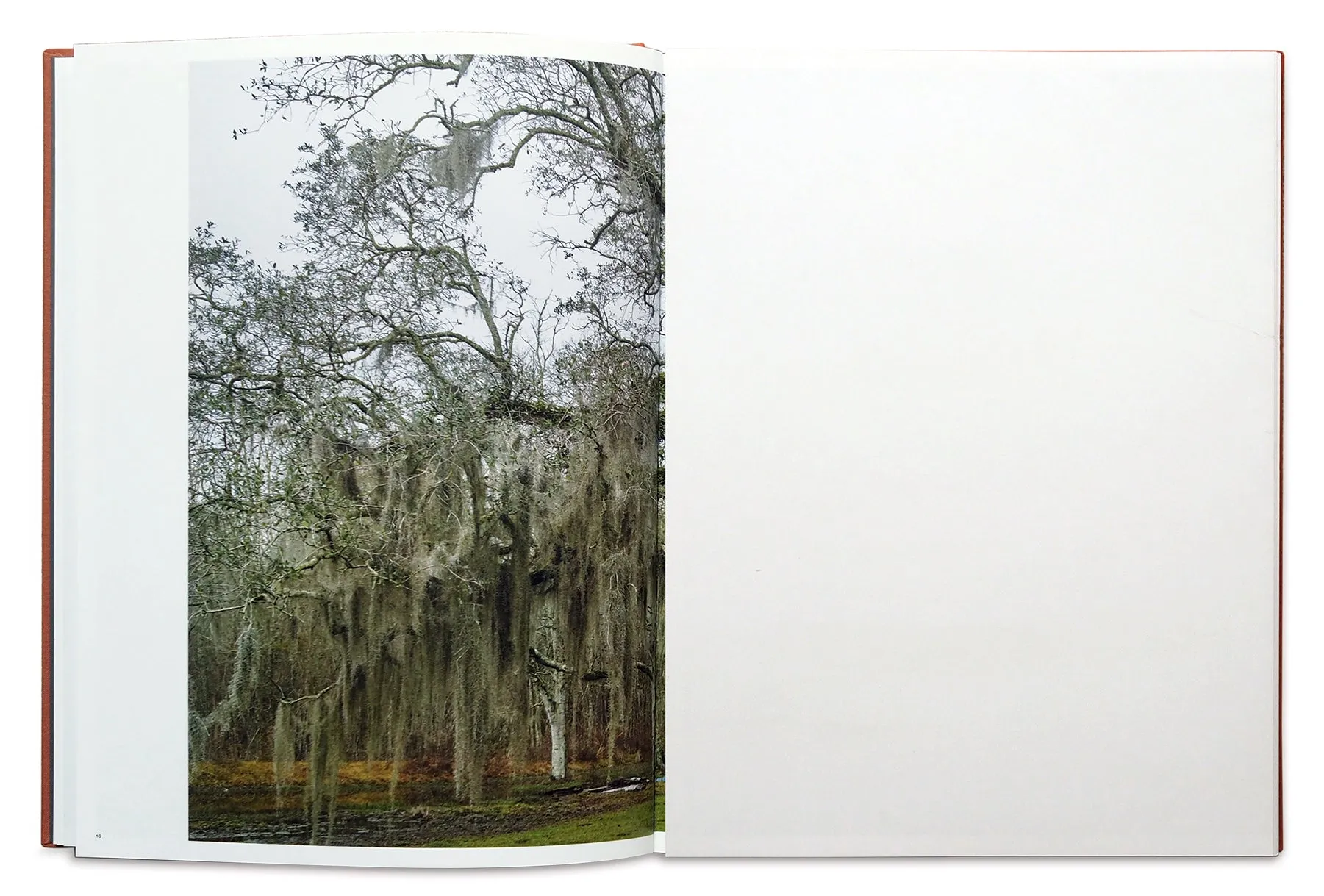 Good Morning, America (Volume I) image 4