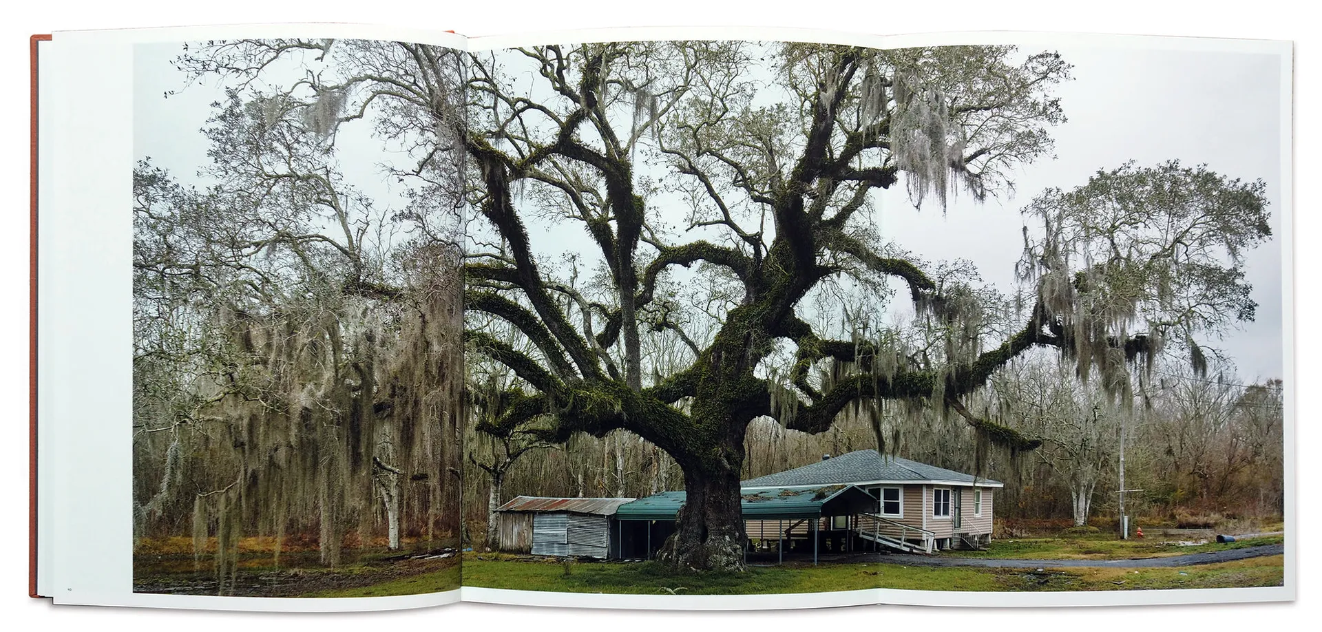 Good Morning, America (Volume I) image 5