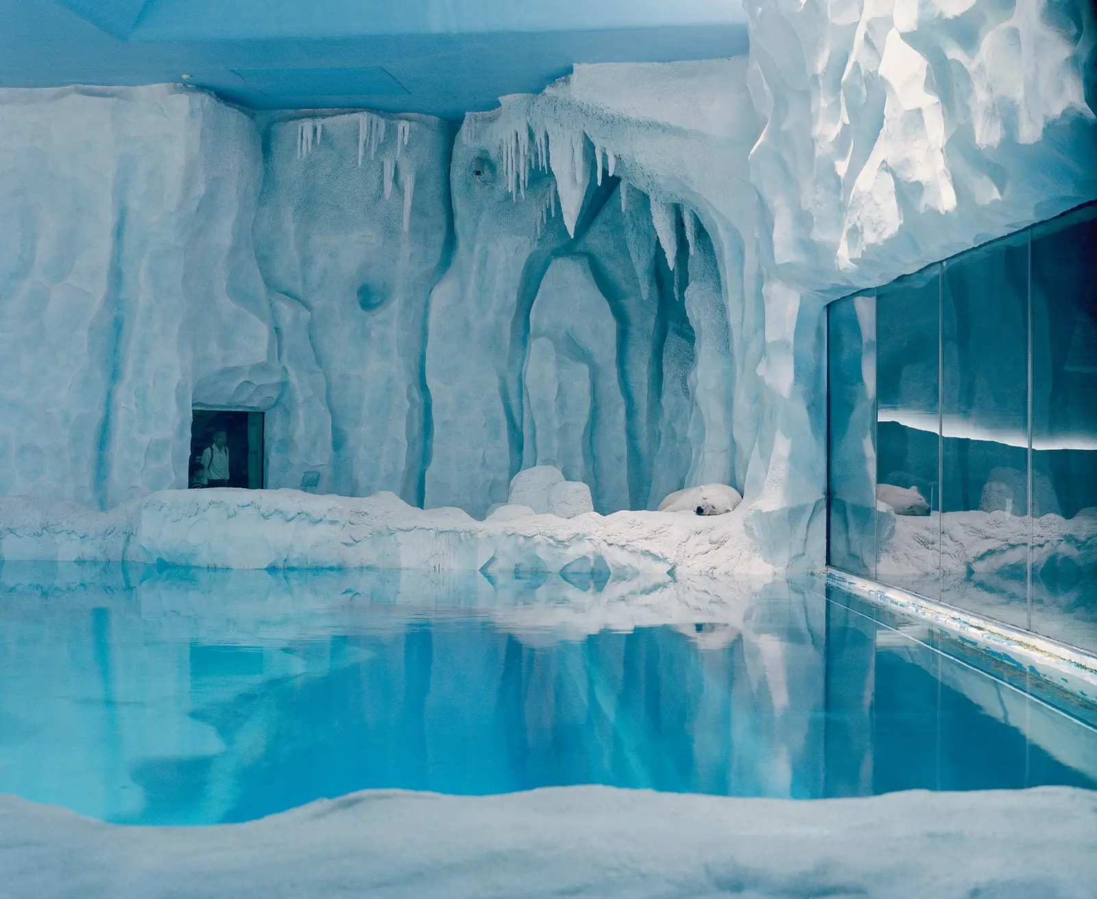 The Anthropocene Illusion image 2