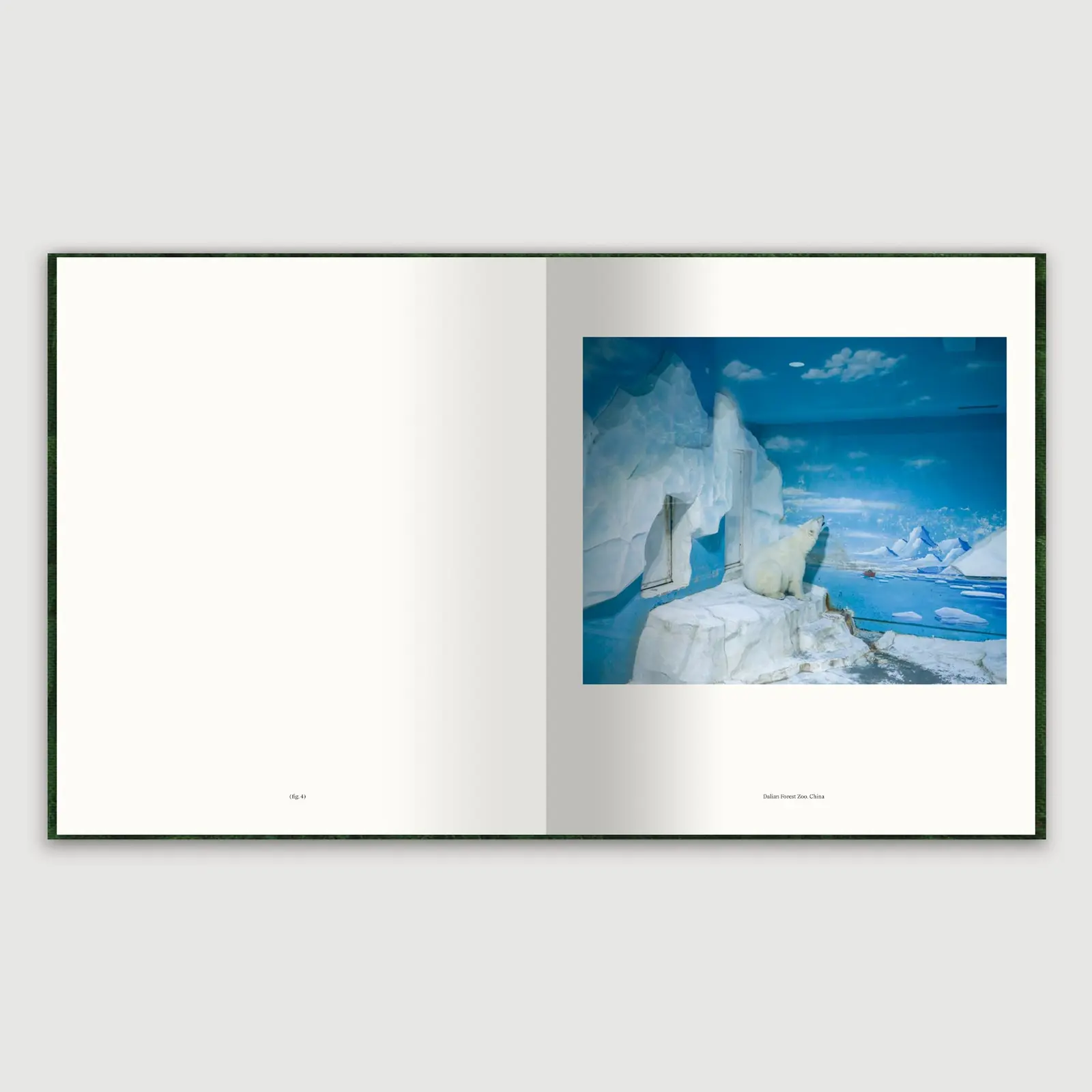 The Anthropocene Illusion image 4