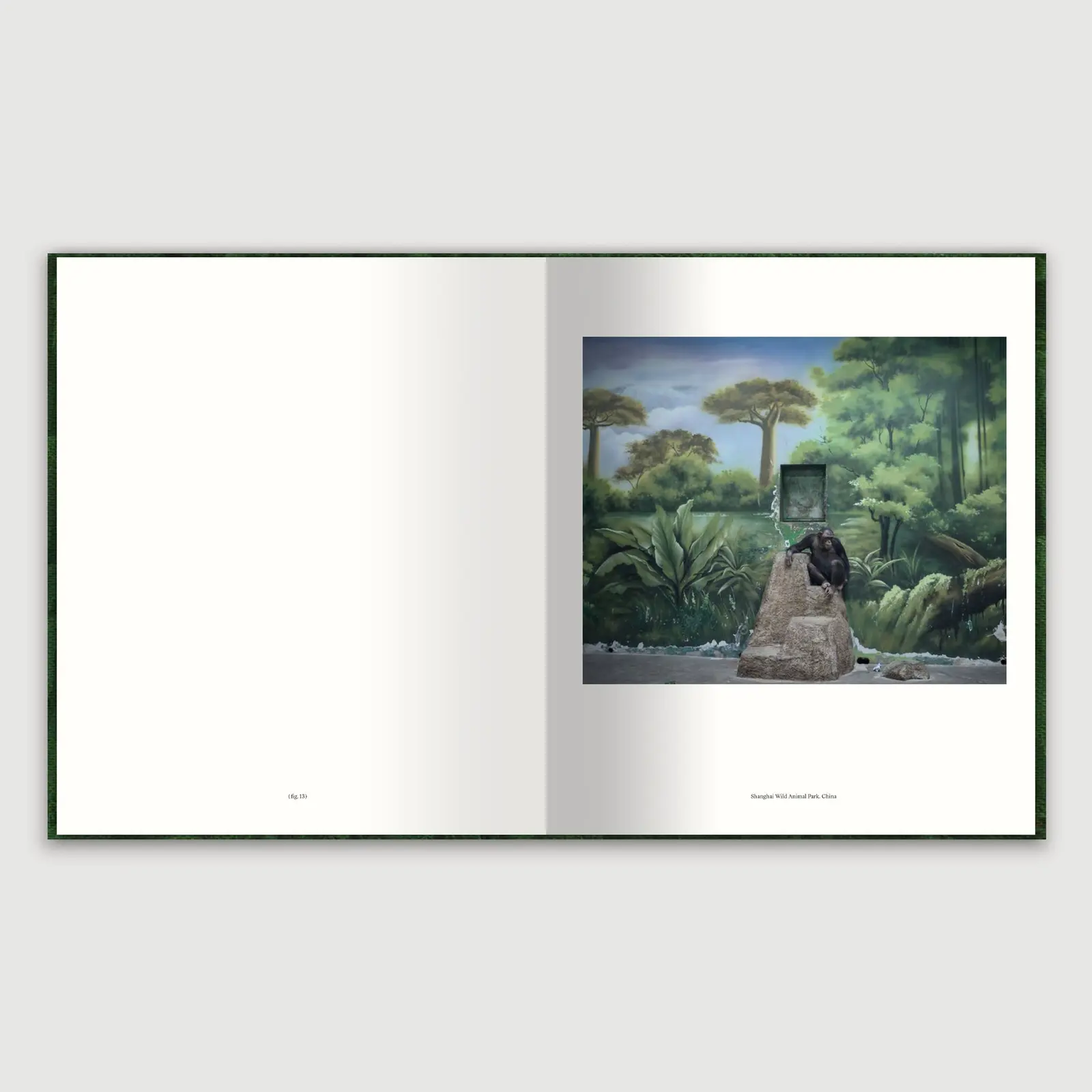 The Anthropocene Illusion image 5