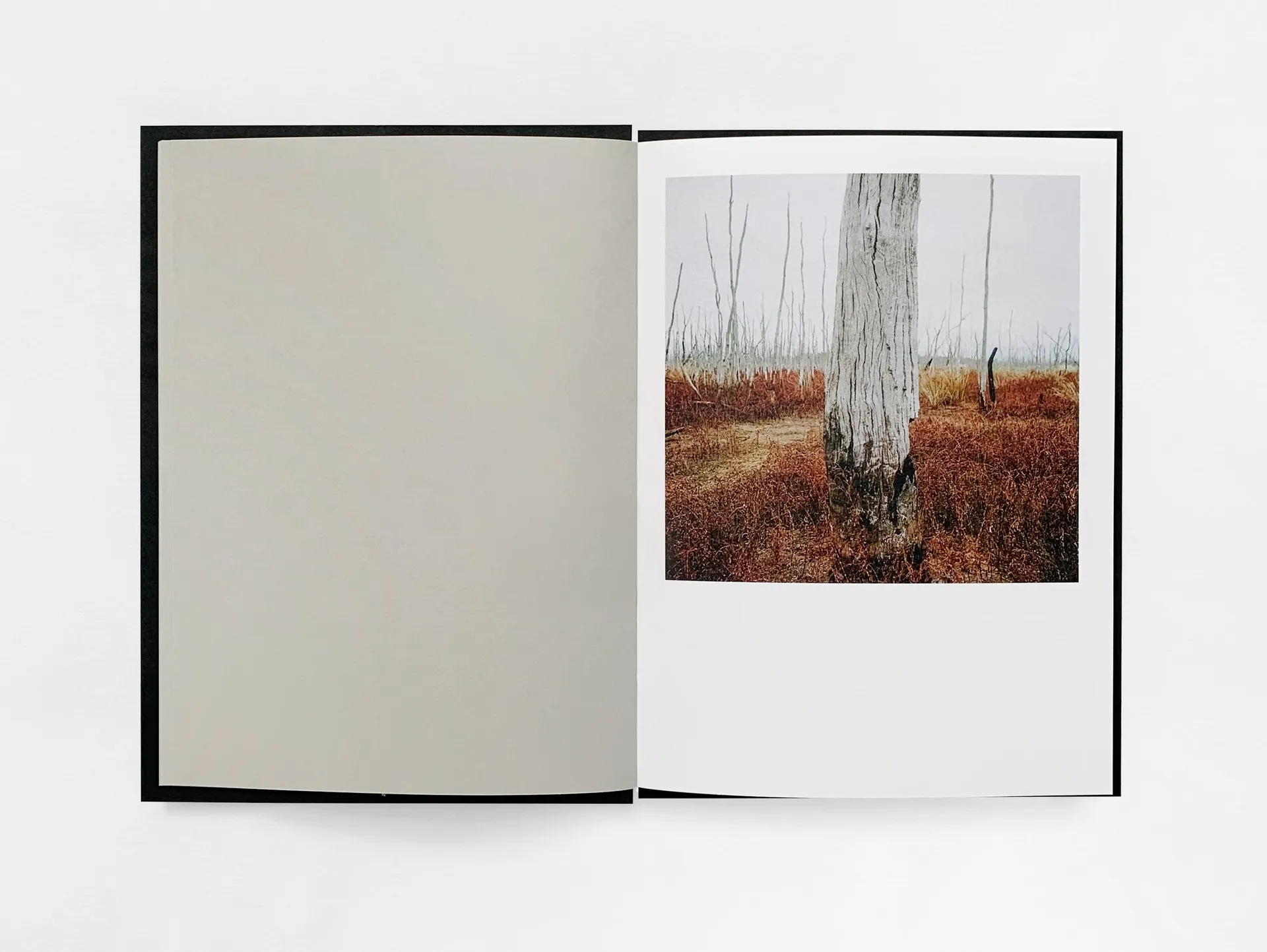 Jingo was born in the slum image 2