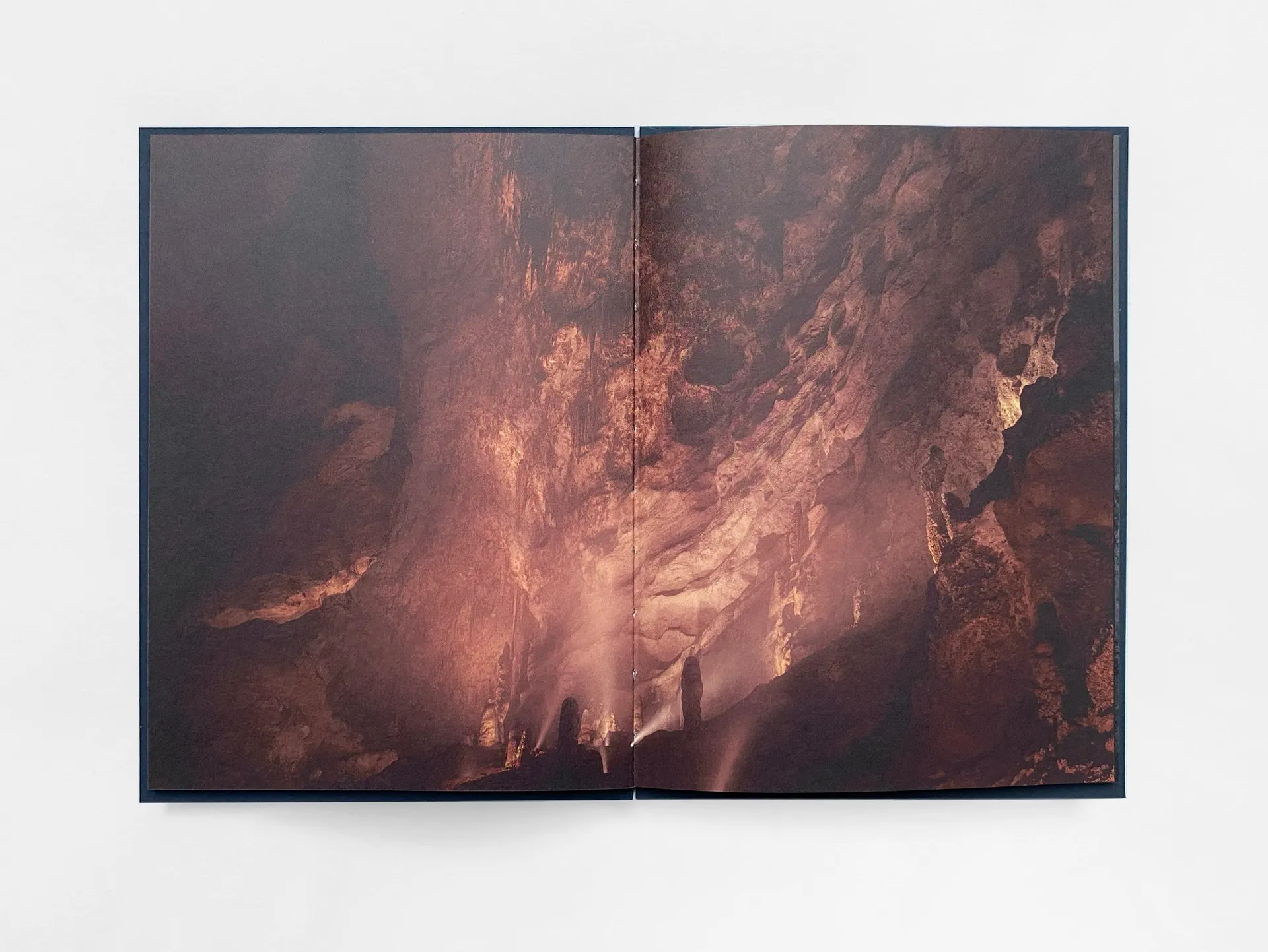 Strange Nature image 4