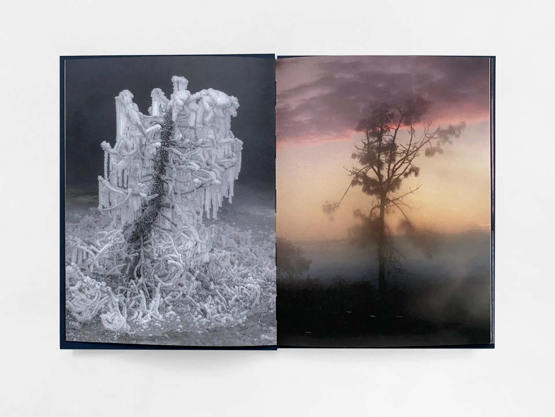 Strange Nature image 5