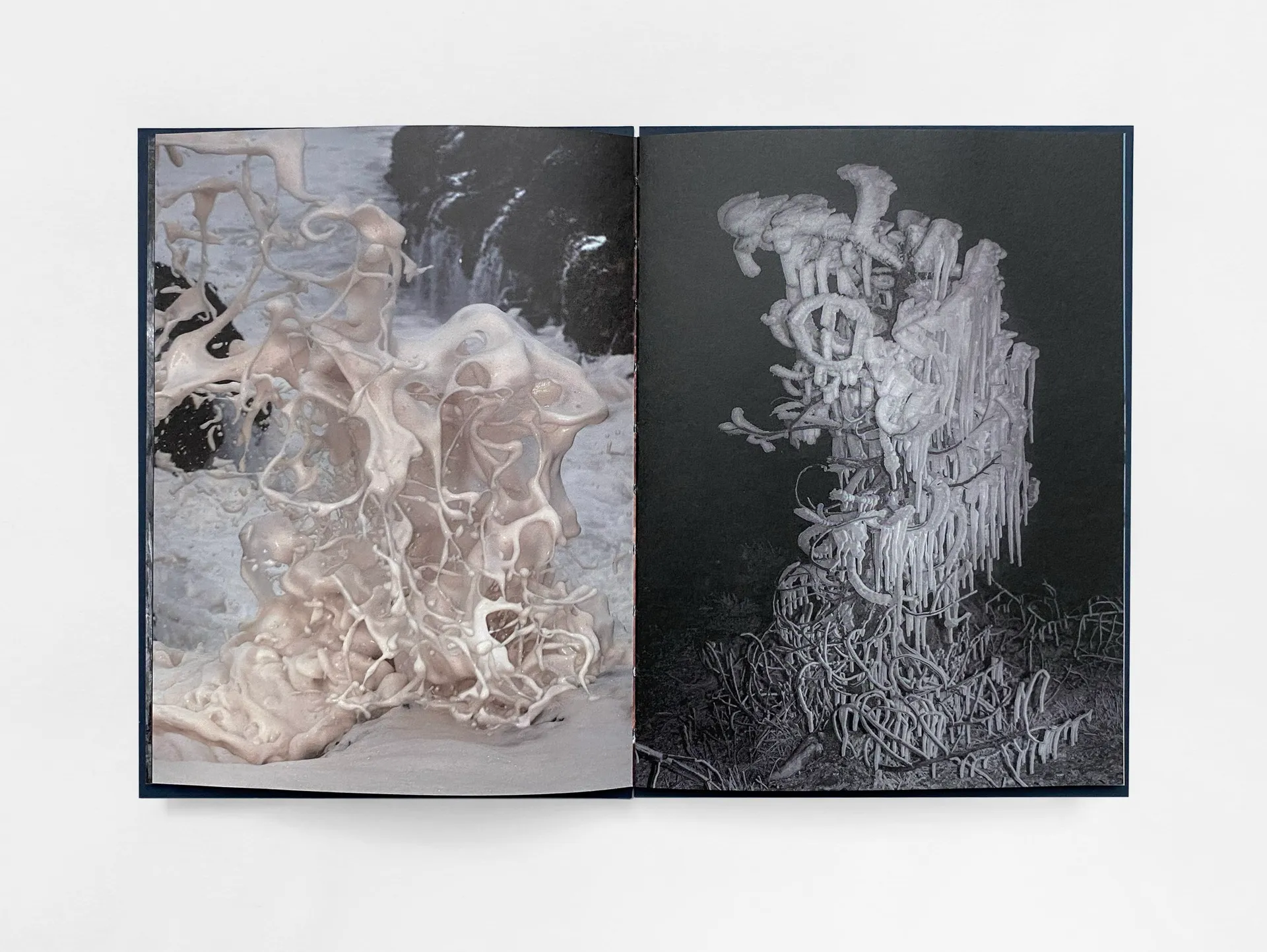 Strange Nature image 7