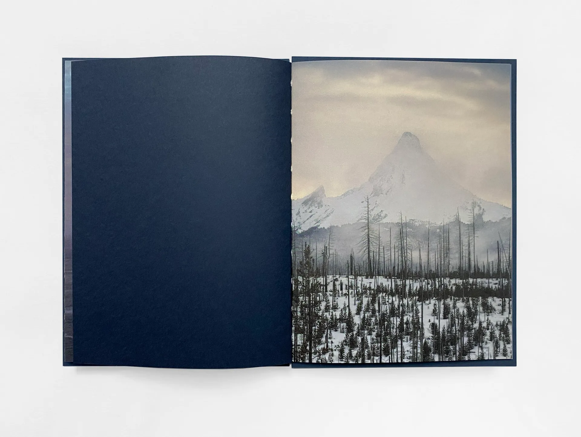 Strange Nature image 8