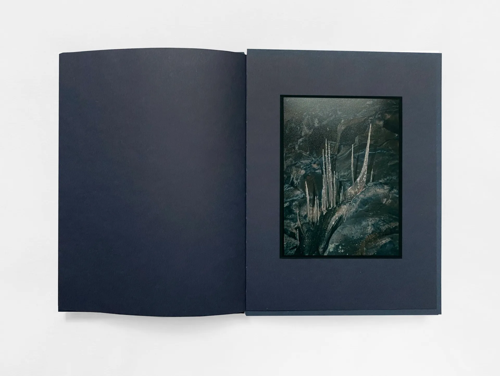 Strange Nature image 10