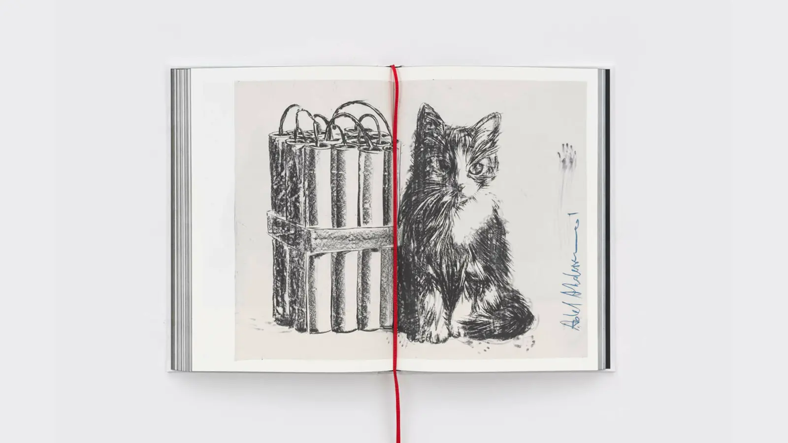 One Big Bang image 8