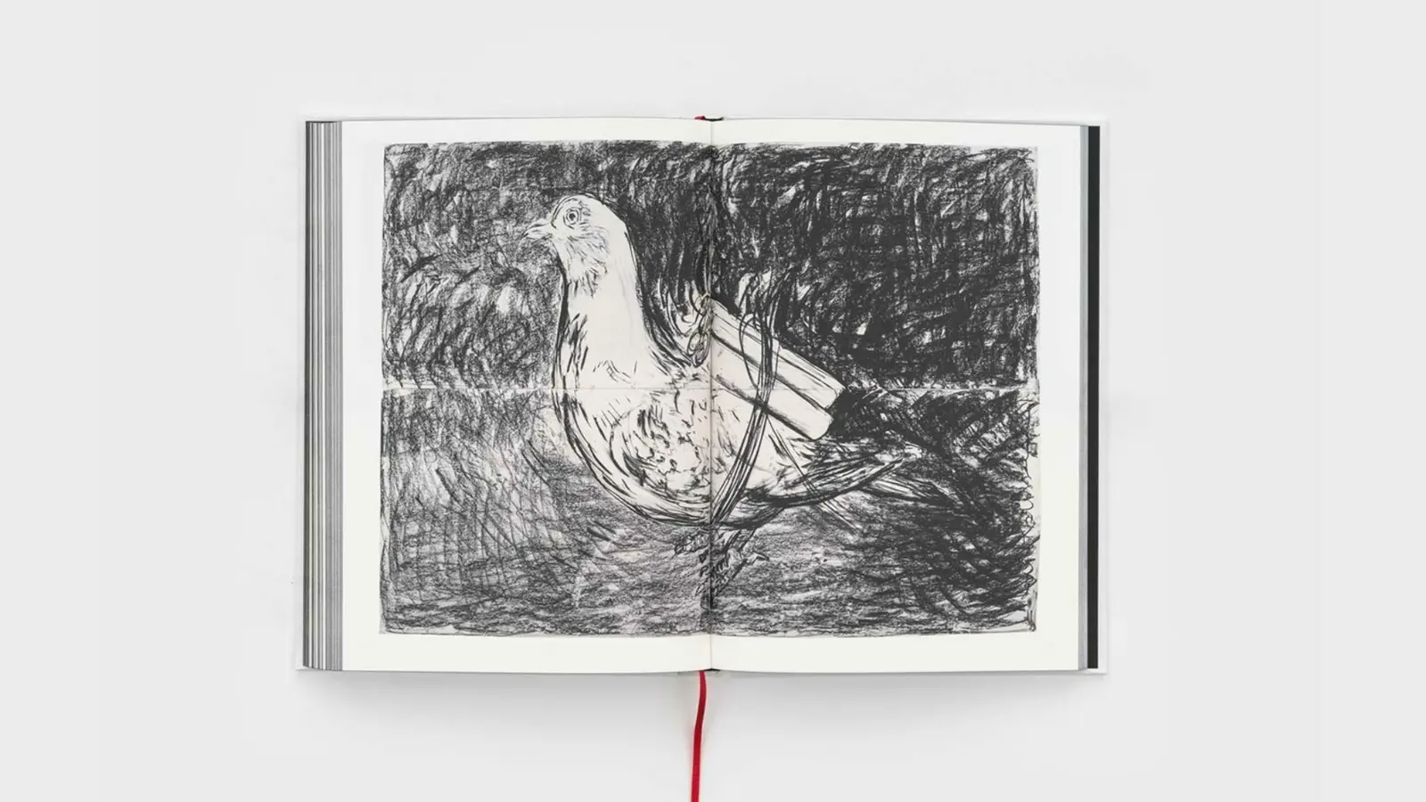 One Big Bang image 9