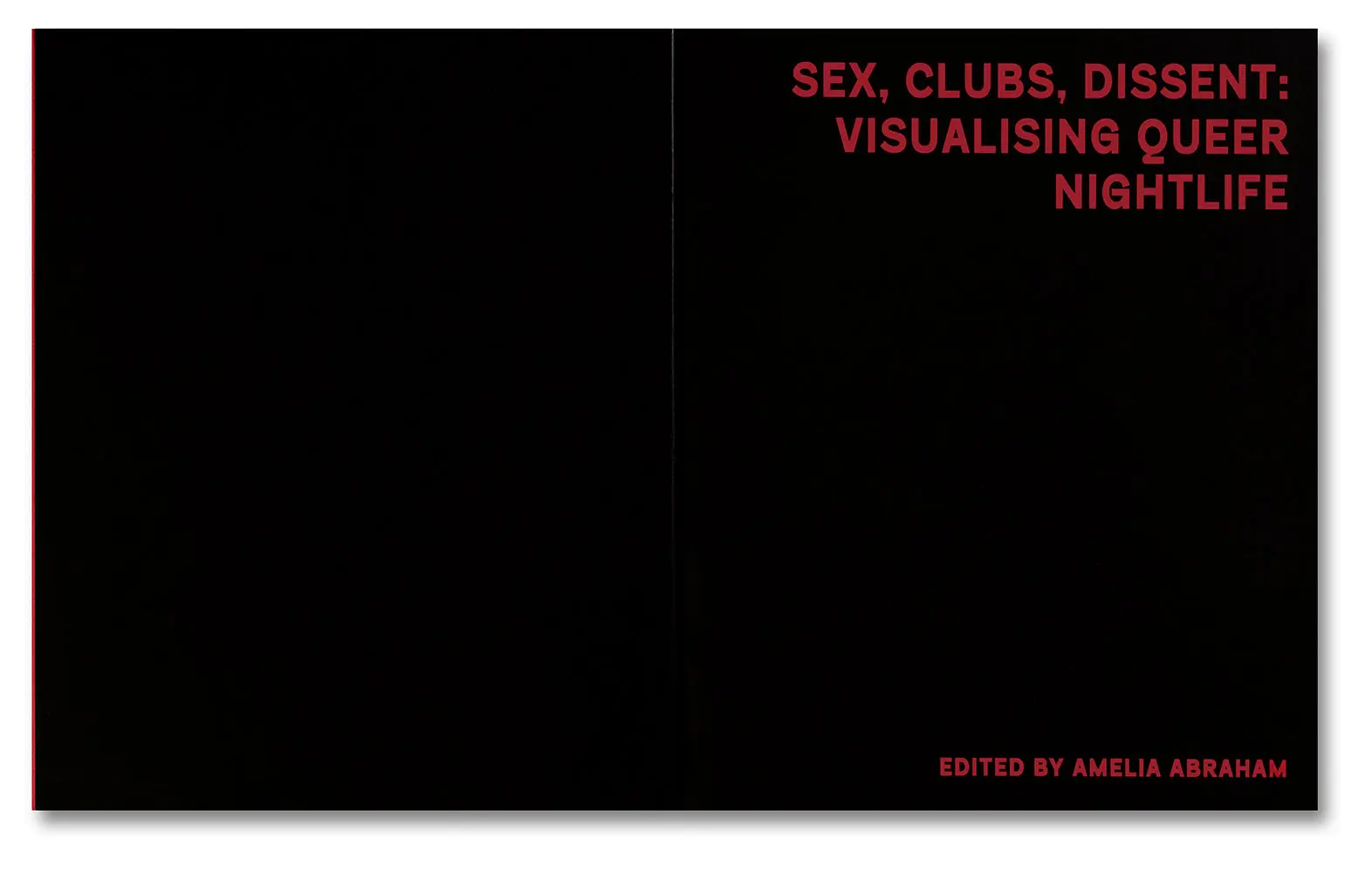 Sex, Clubs, Dissent: Visualising Queer Nightlife image 3