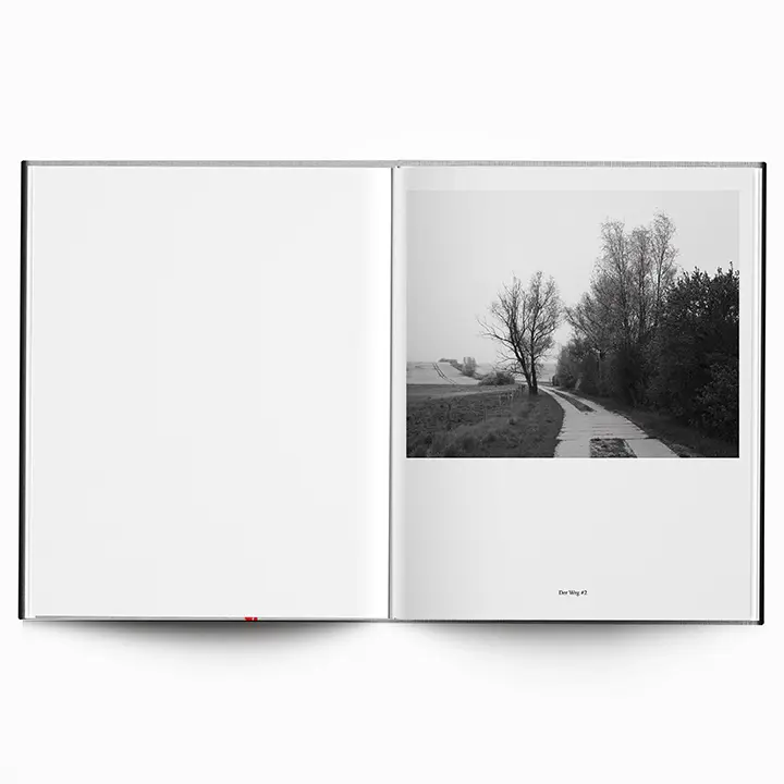 Along the Path image 4