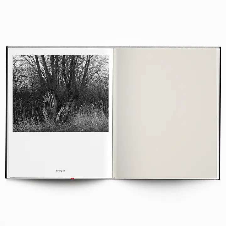 Along the Path image 5