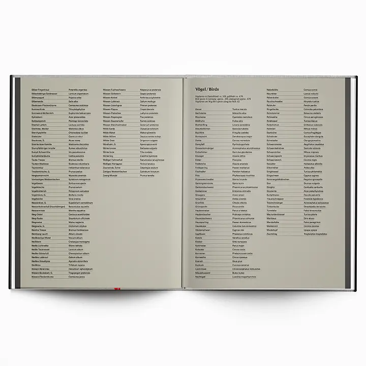 Along the Path image 7