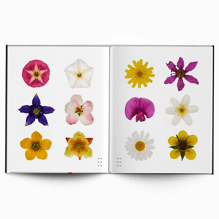 Along the Path image 8