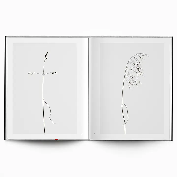 Along the Path image 9