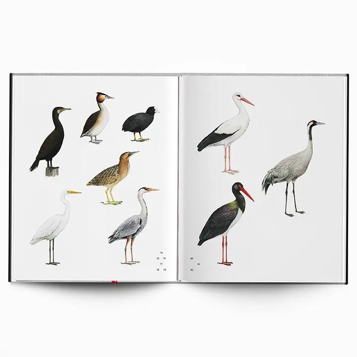 Along the Path image 11