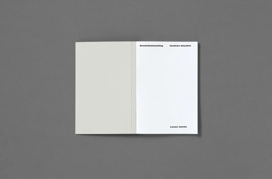 Notwithstanding image 4