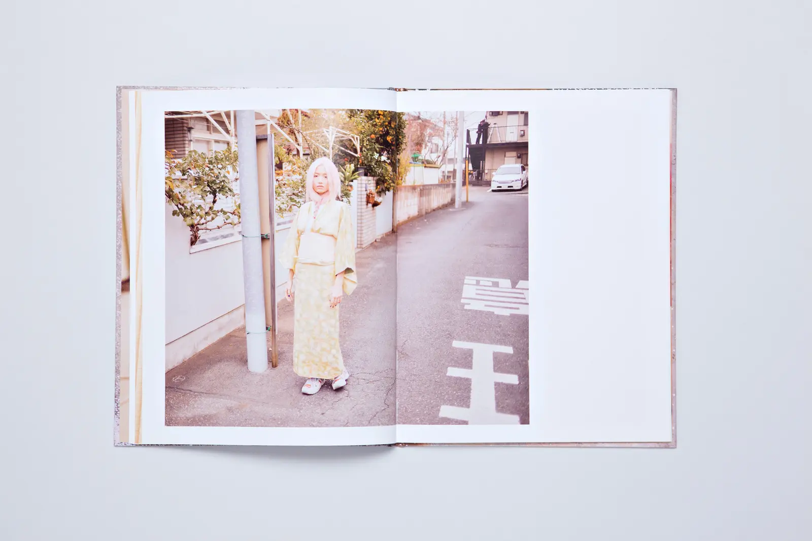 Pink Lemonade image 5