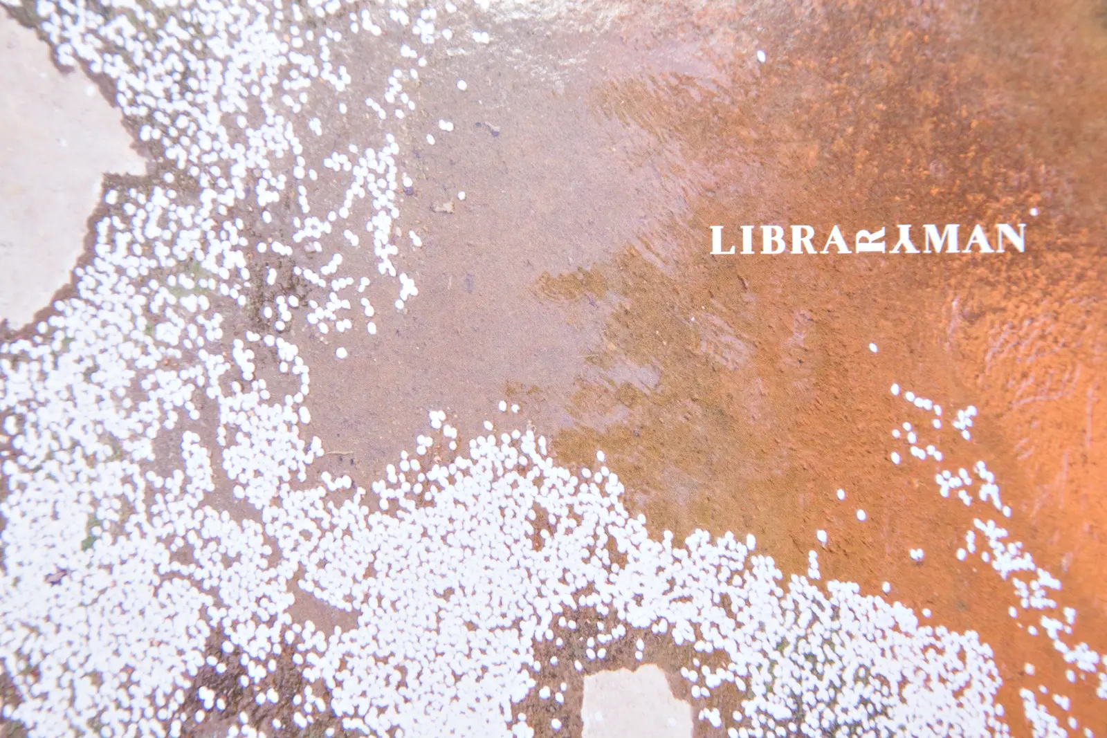 Pink Lemonade image 10