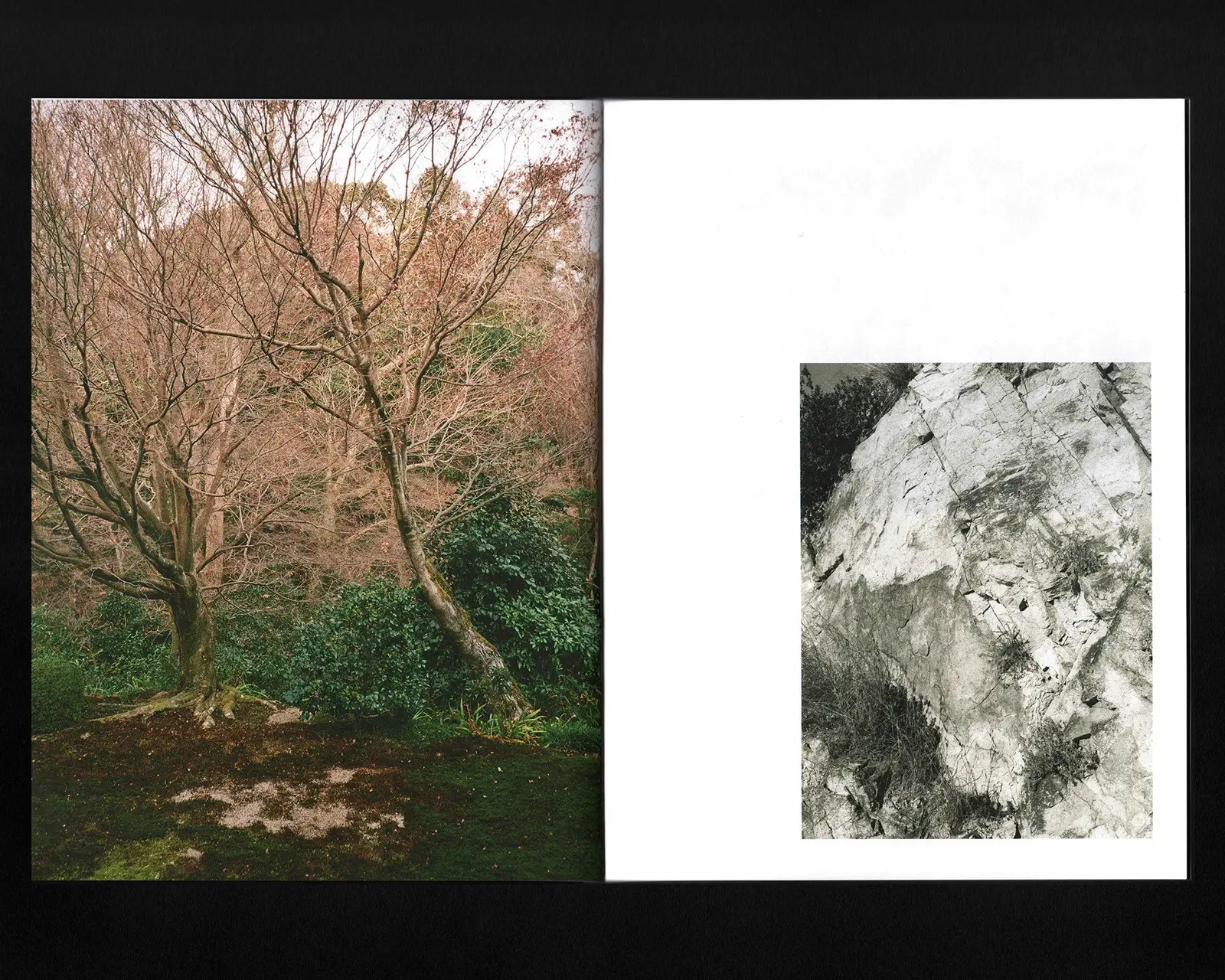 Atunbi & Iku image 2