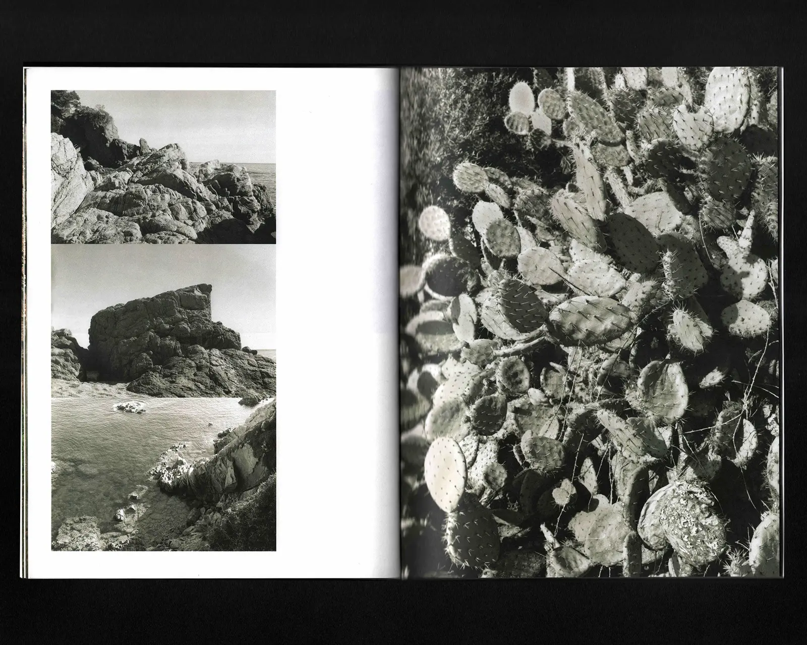 Atunbi & Iku image 5