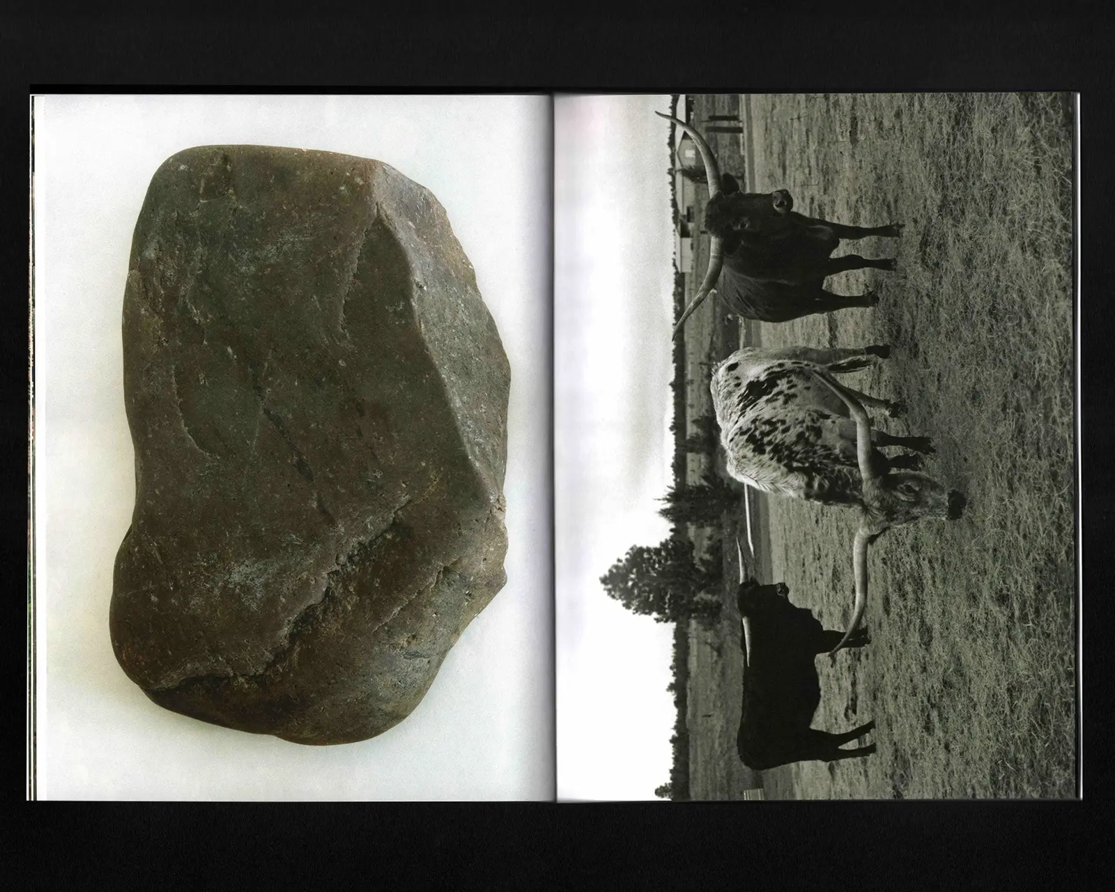 Atunbi & Iku image 6