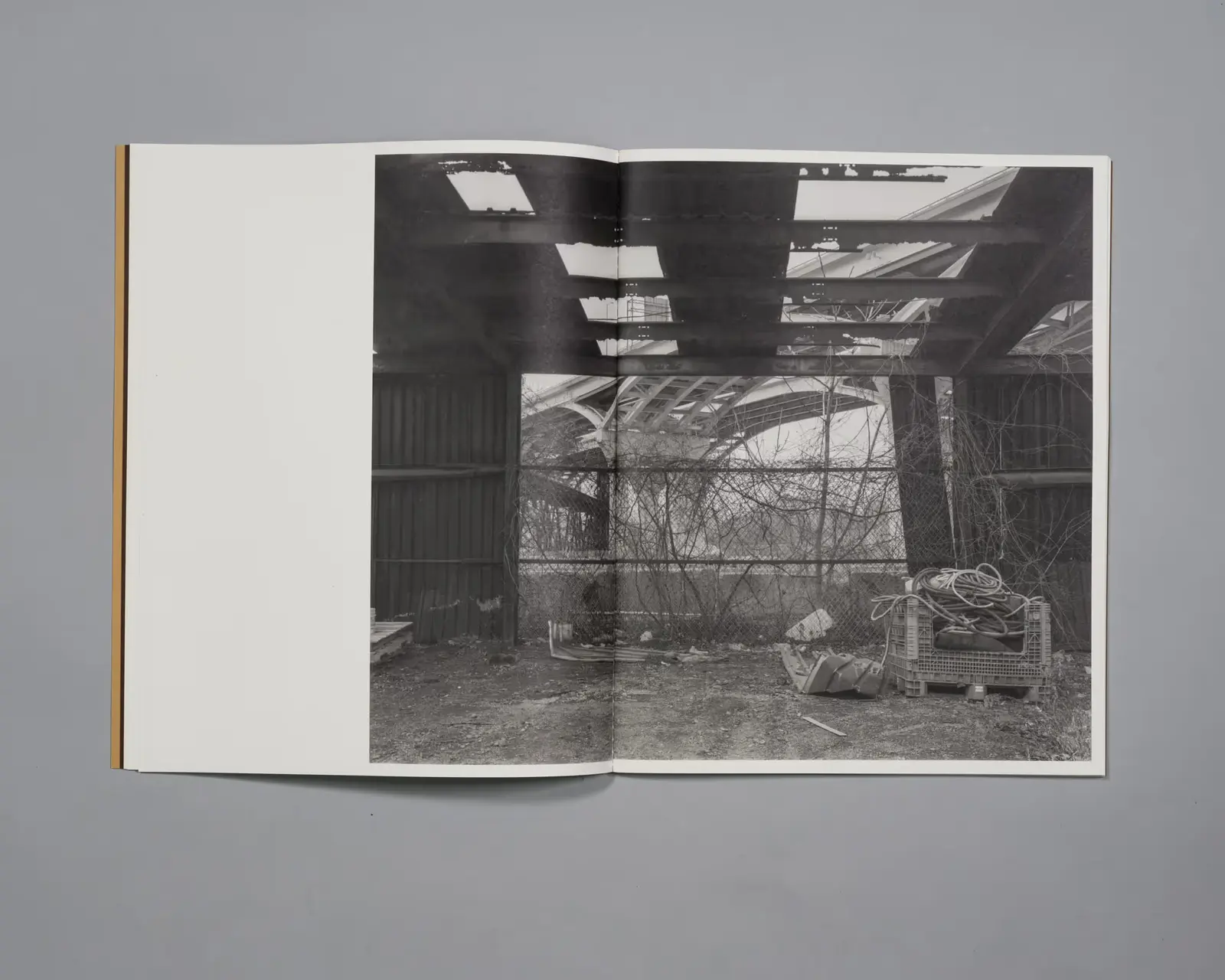 With And For image 8