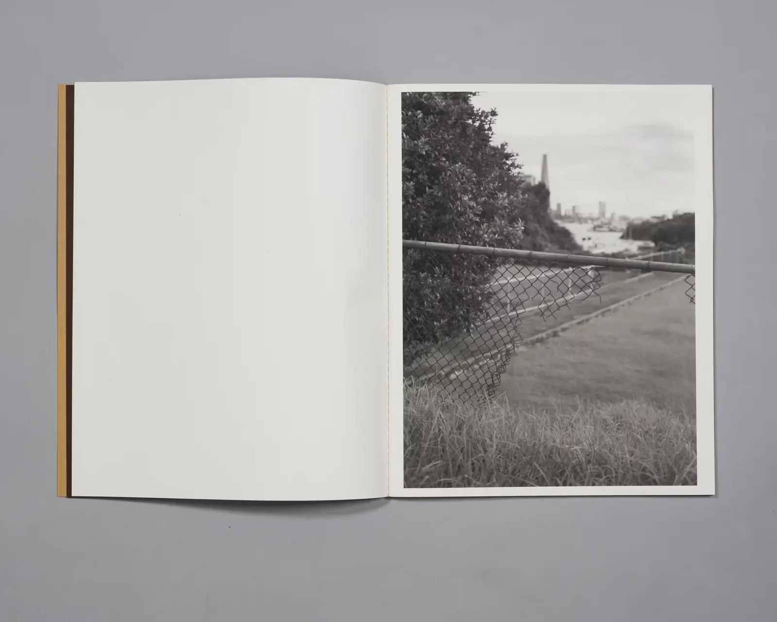 With And For image 11