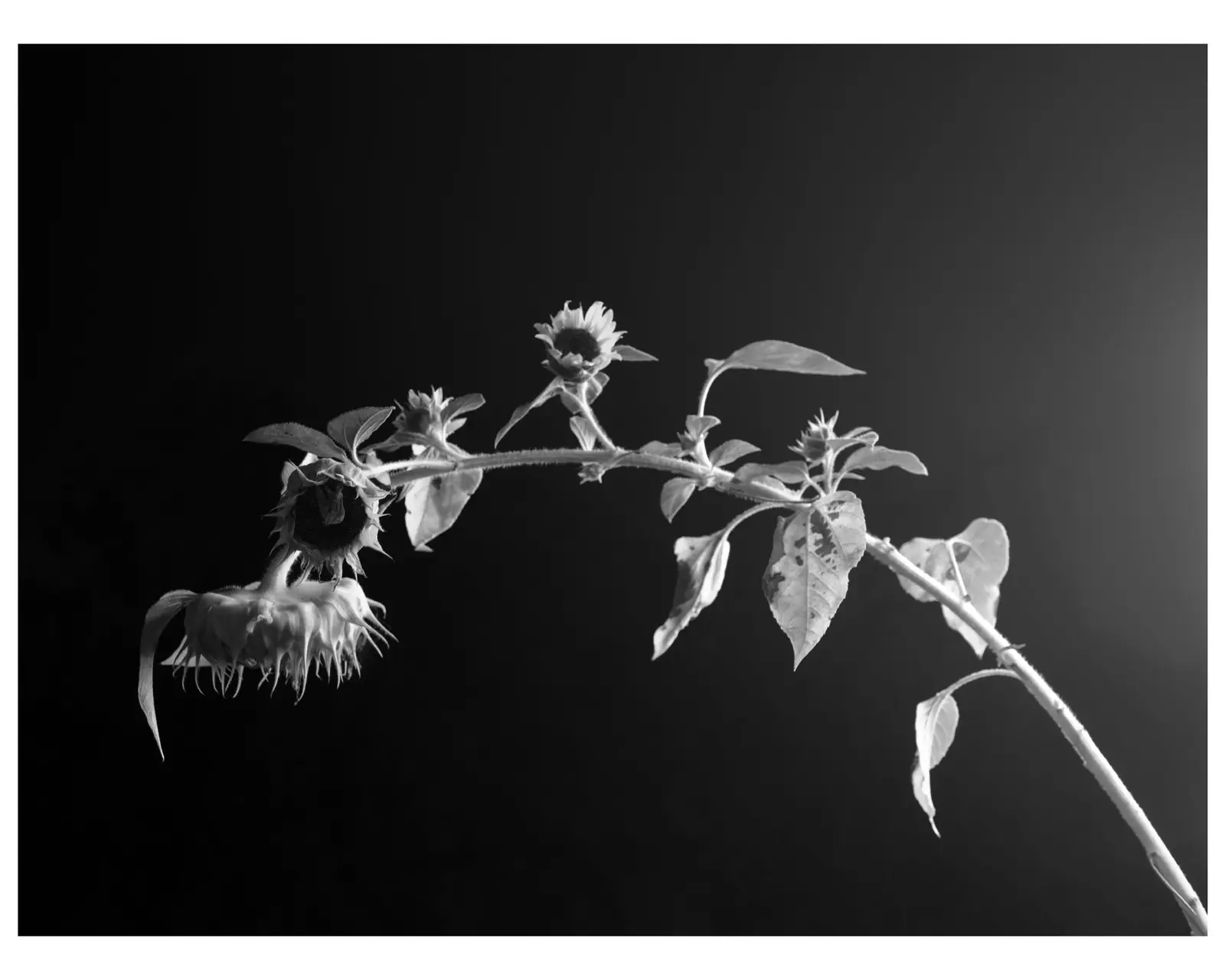 Where You Were When image 7