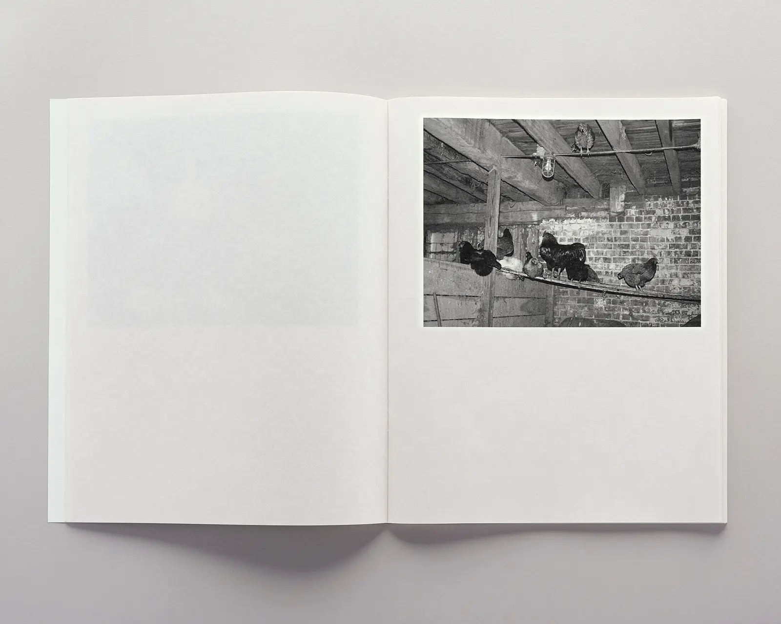 Where You Were When image 8