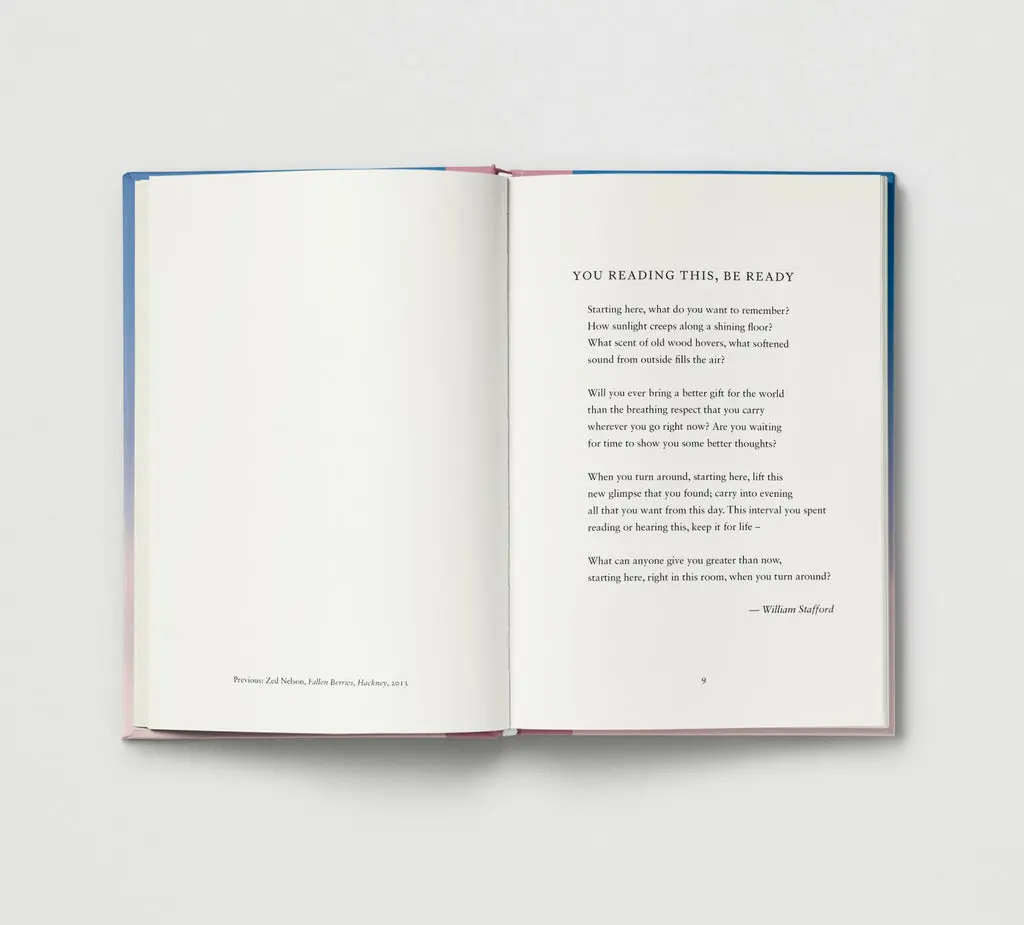 Everyday Wonder image 2