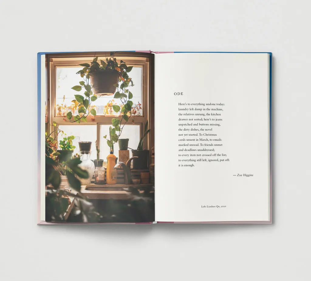 Everyday Wonder image 3