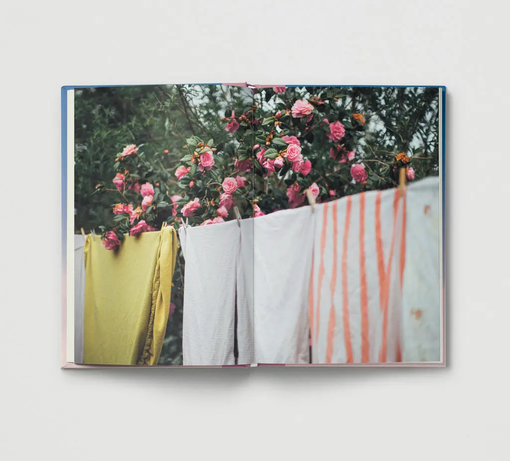 Everyday Wonder image 4