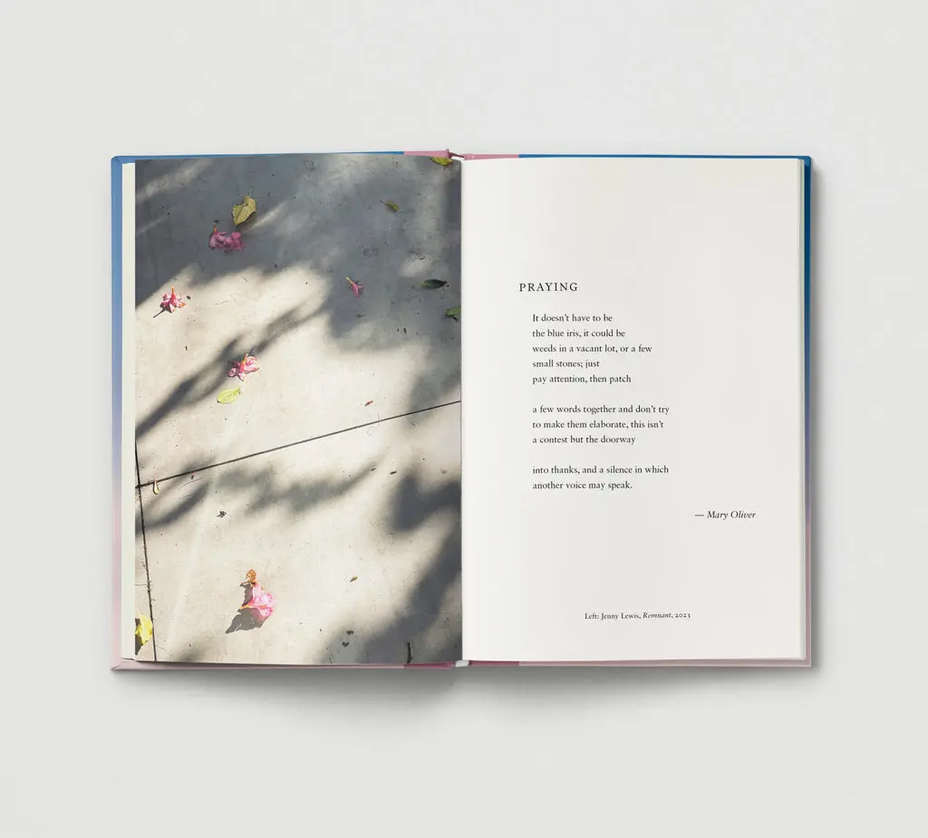 Everyday Wonder image 6