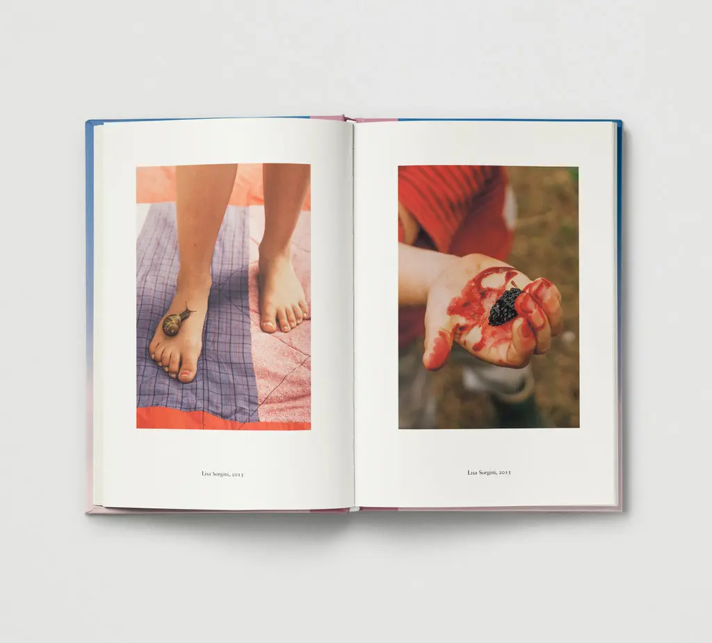 Everyday Wonder image 8