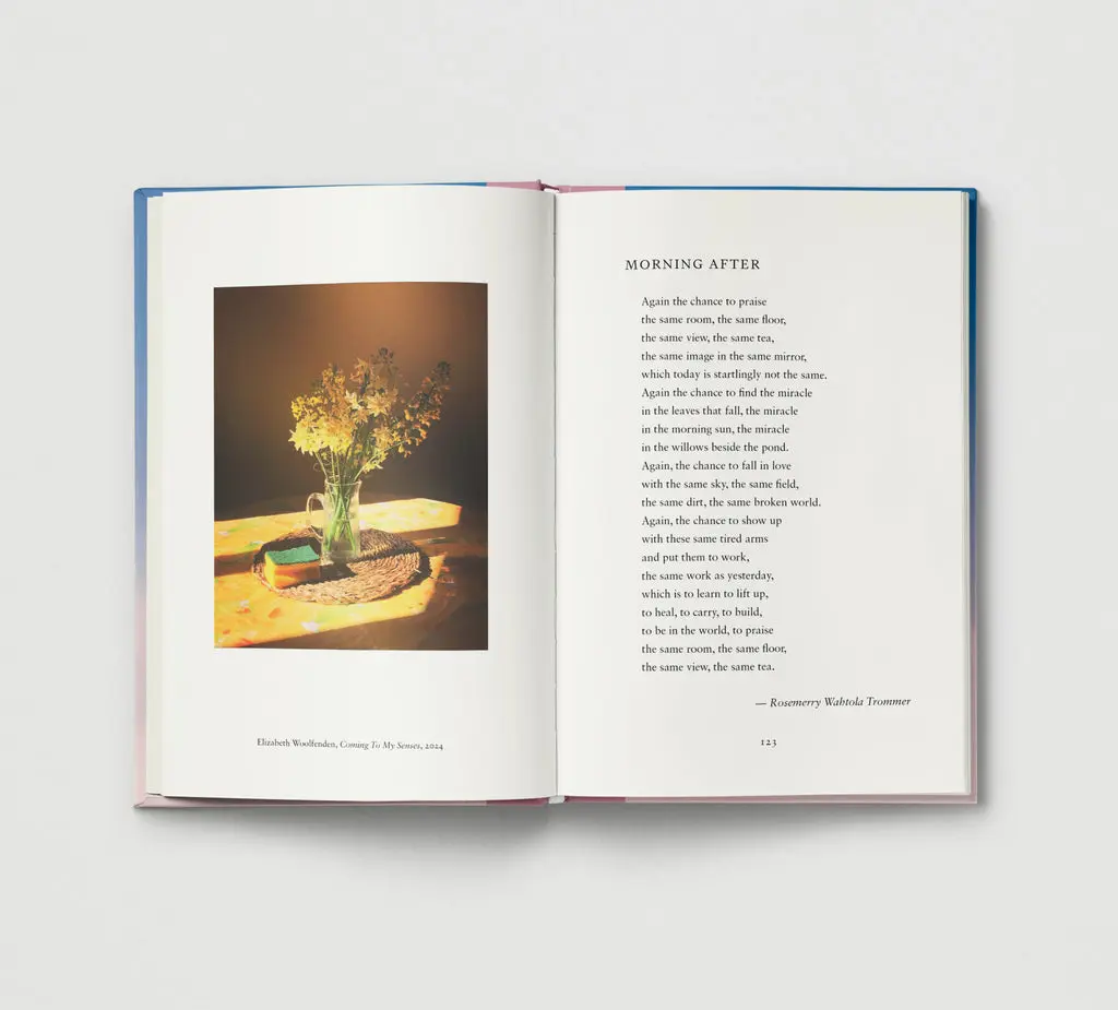 Everyday Wonder image 9