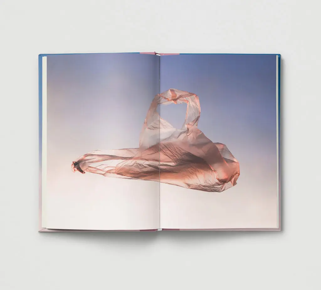 Everyday Wonder image 10