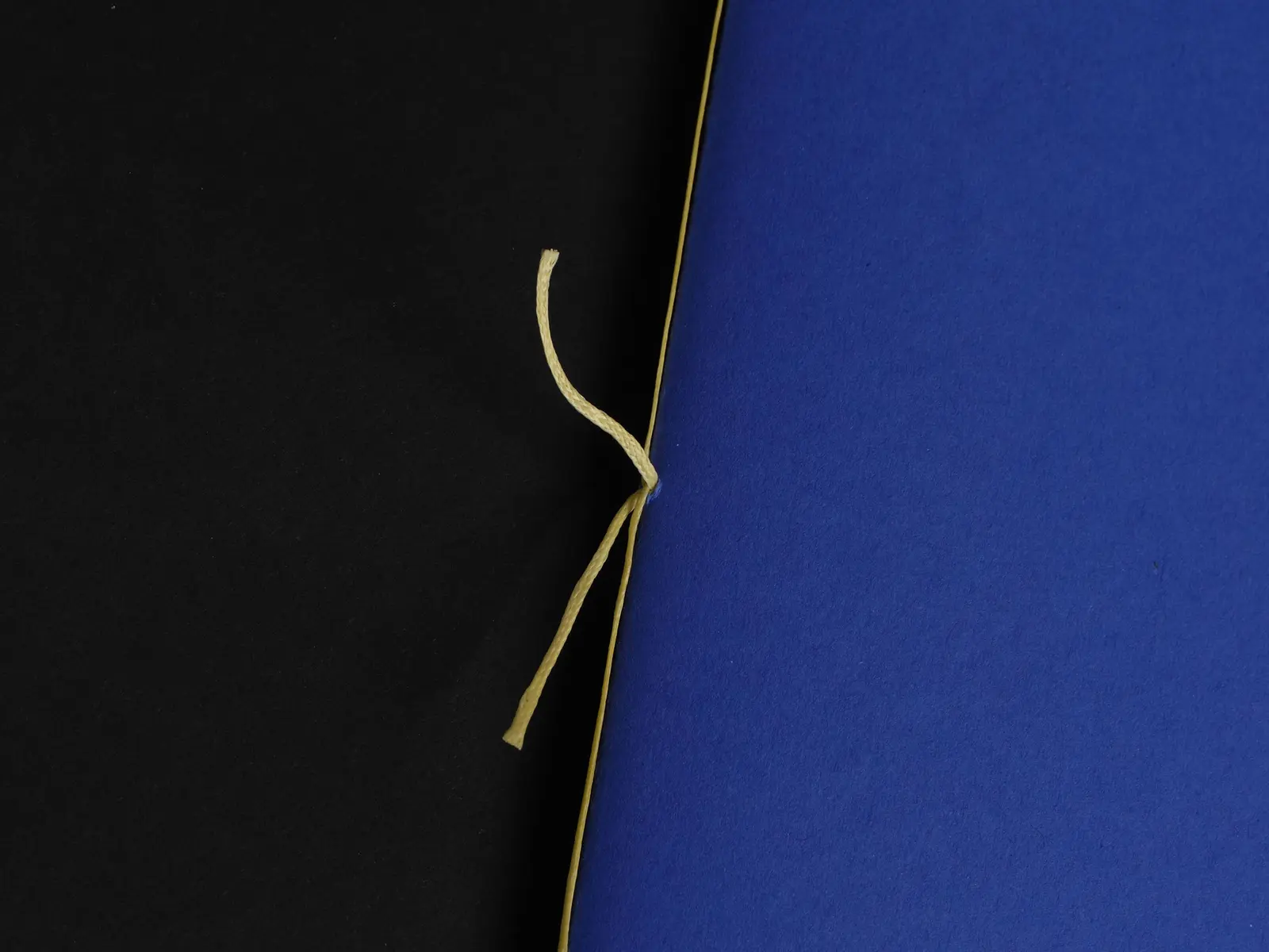 Always Forward image 10