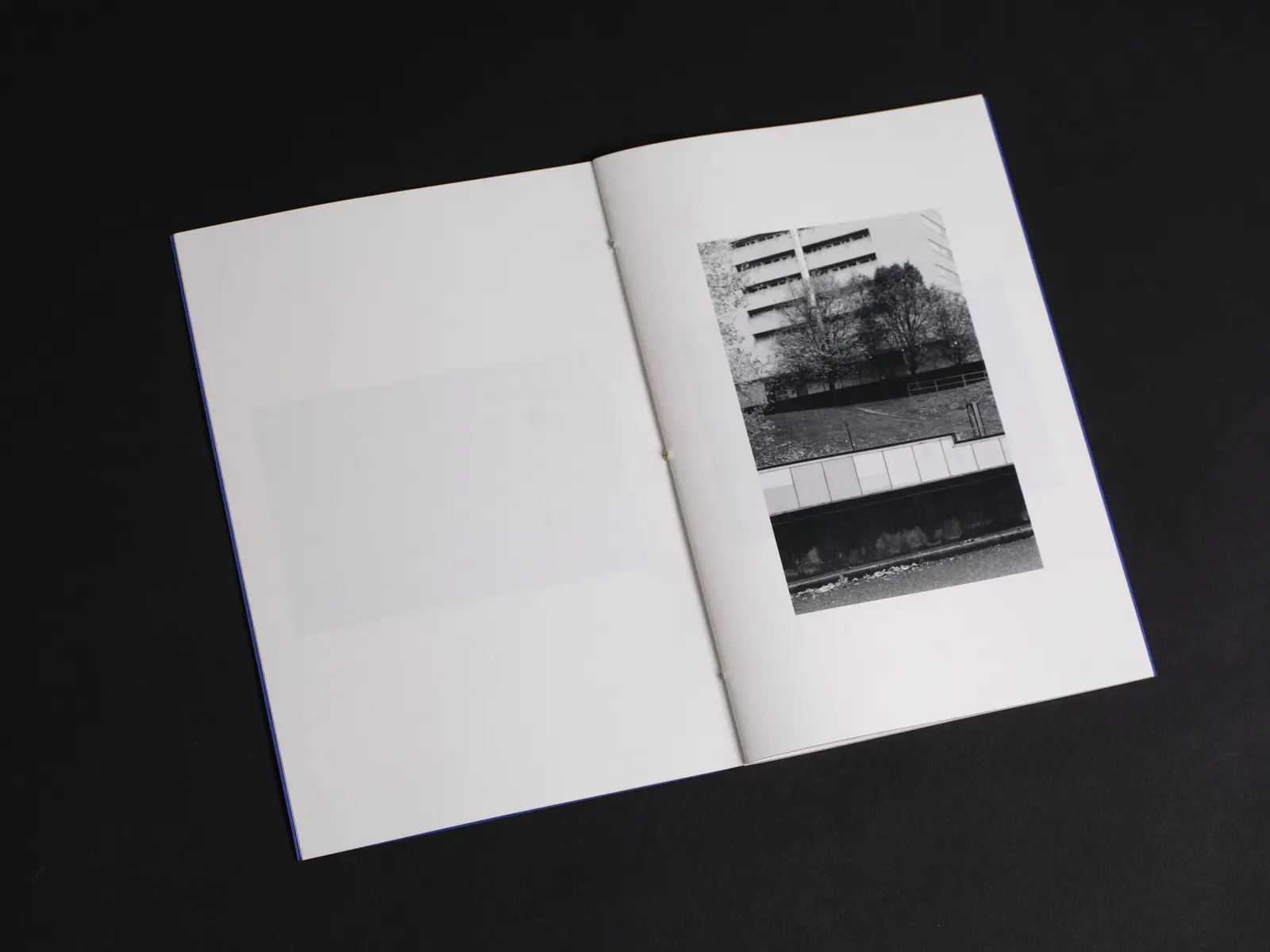 Always Forward image 11