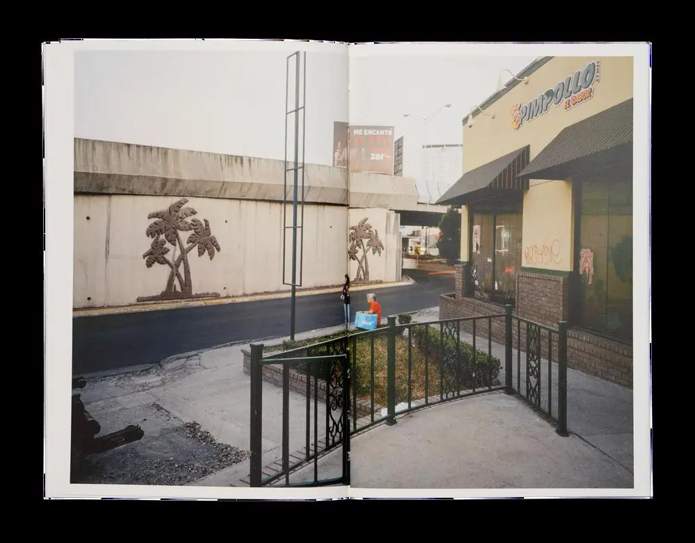 A Guide to Infrastructure & Corruption image 10