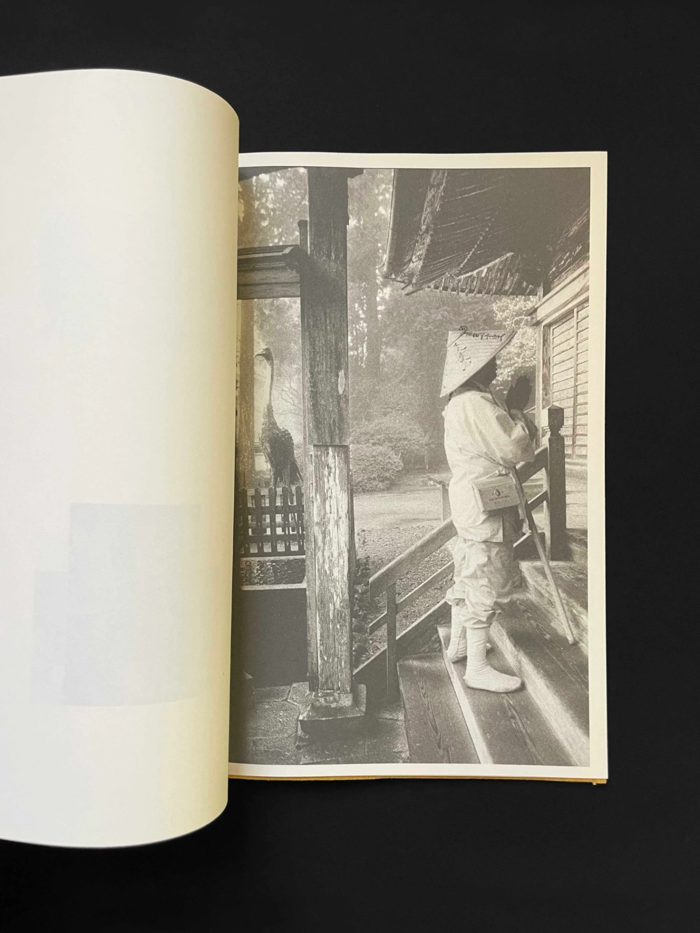 A Lily's Wrath image 3