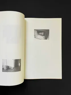 A Lily's Wrath image 5