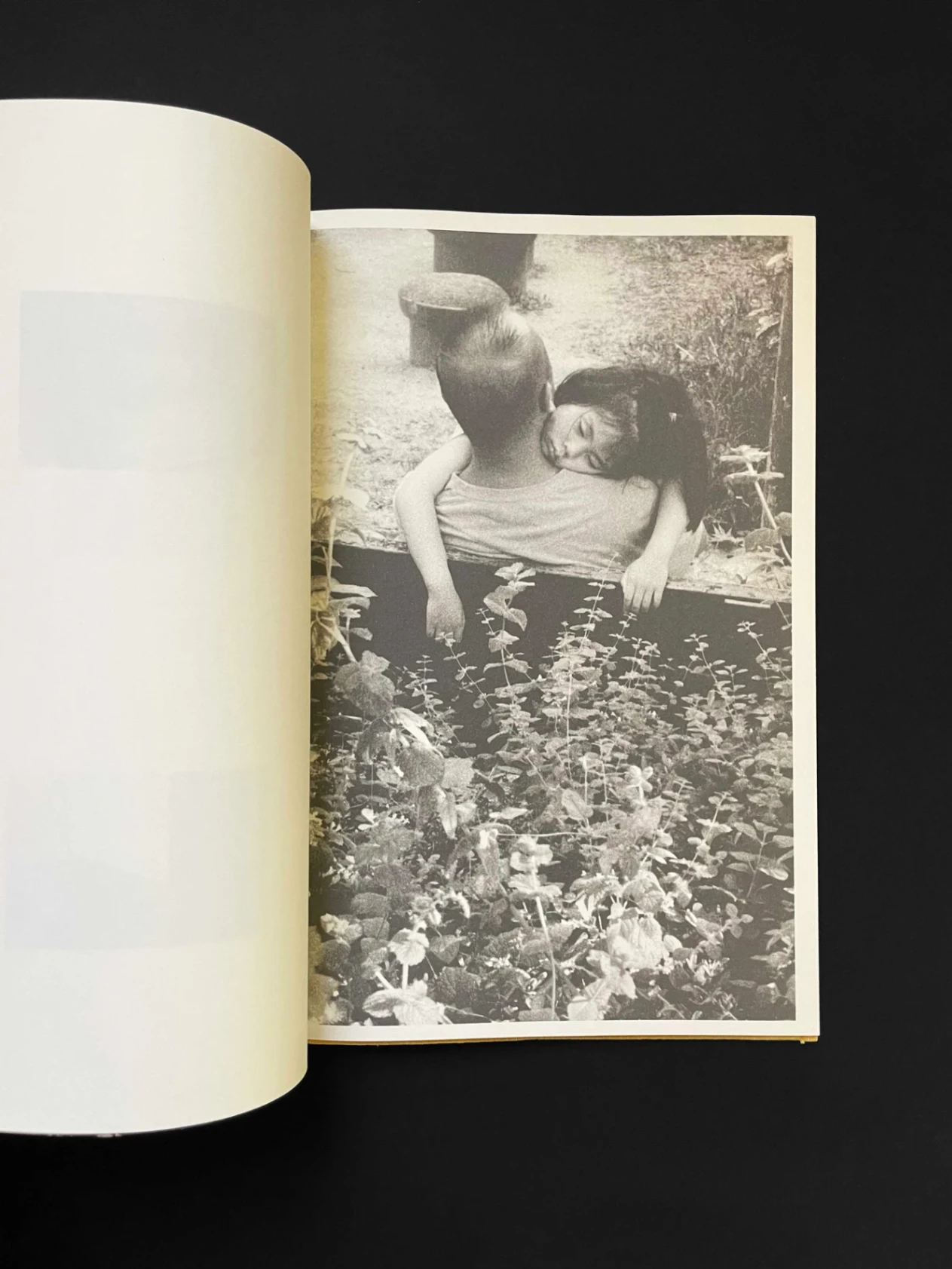 A Lily's Wrath image 6