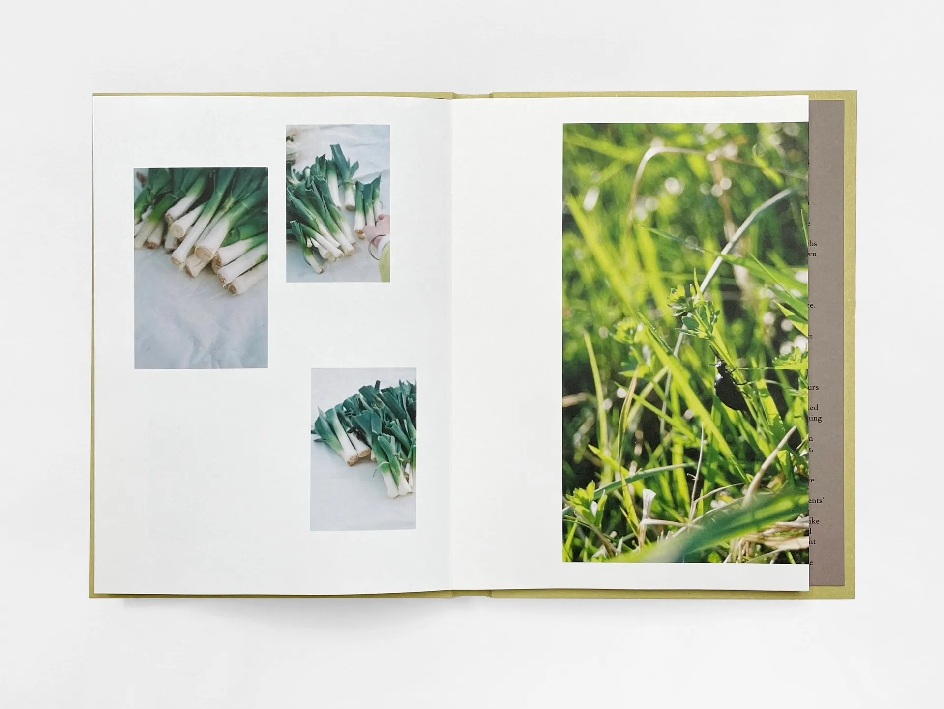 Work the Soul Must Have image 2