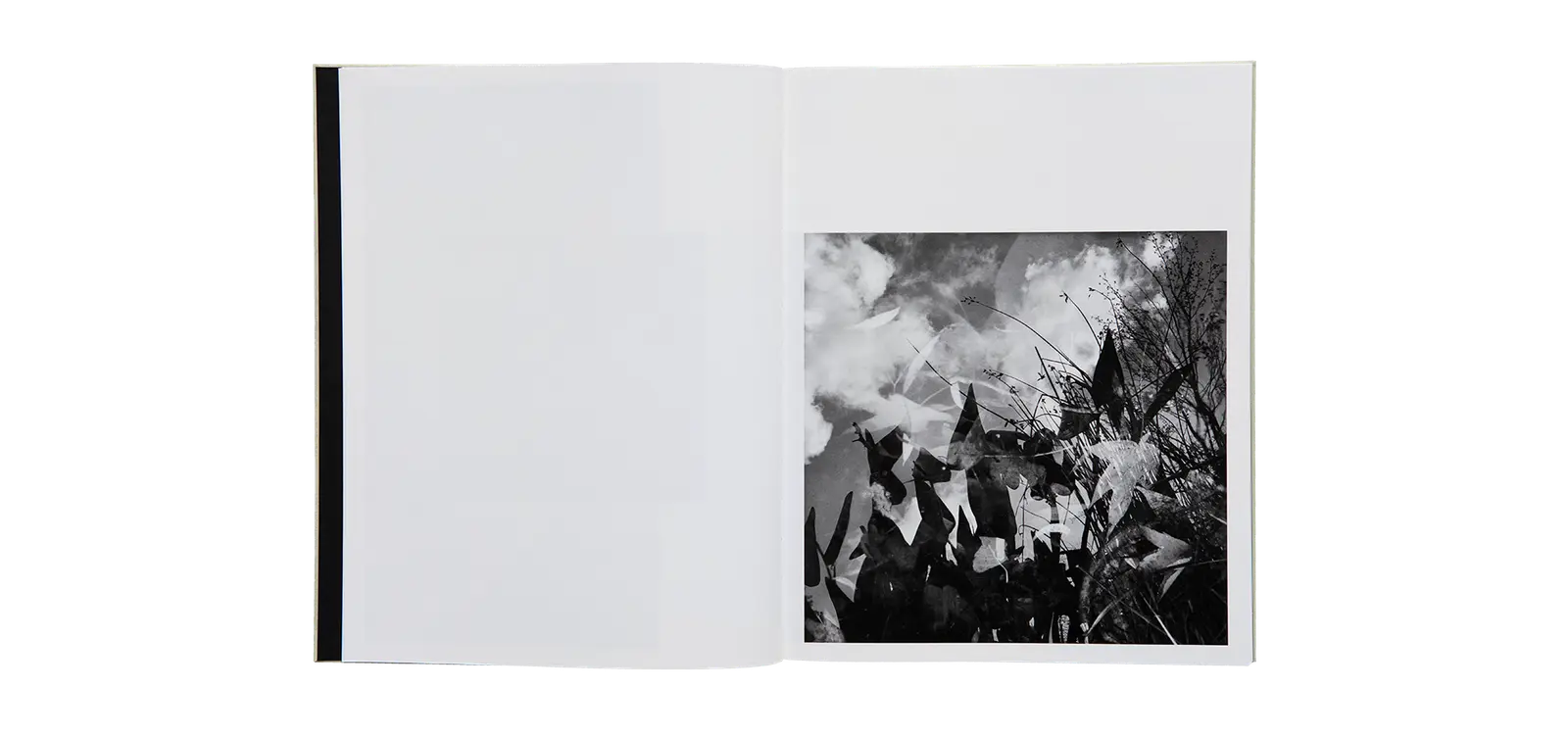 A Certain Nature, after Giverny image 2