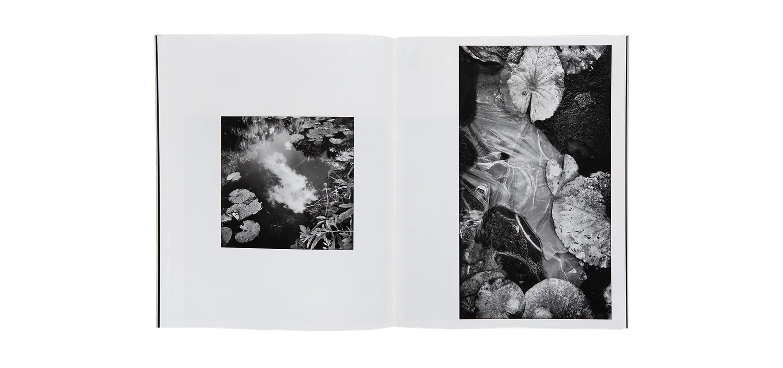 A Certain Nature, after Giverny image 7