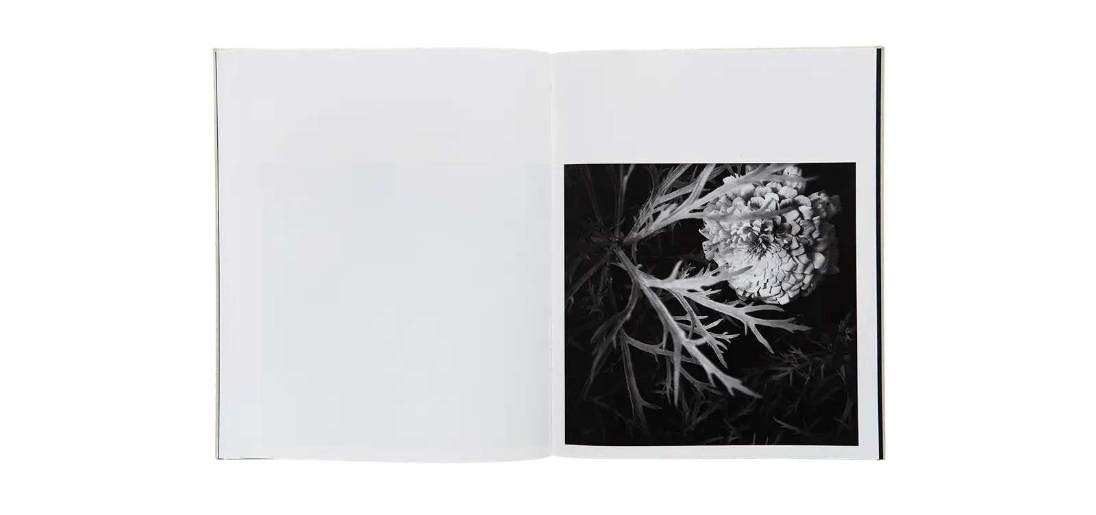 A Certain Nature, after Giverny image 11