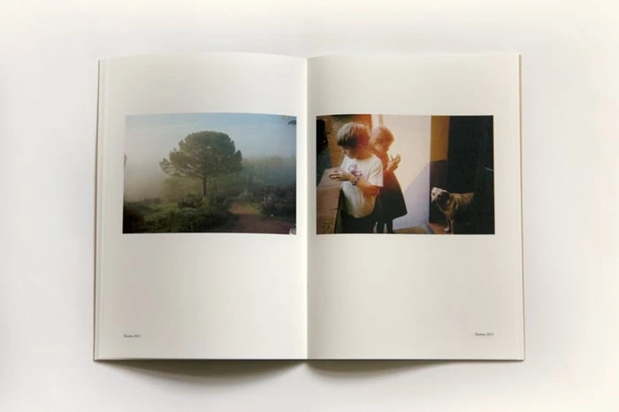 The Dutch Album image 2